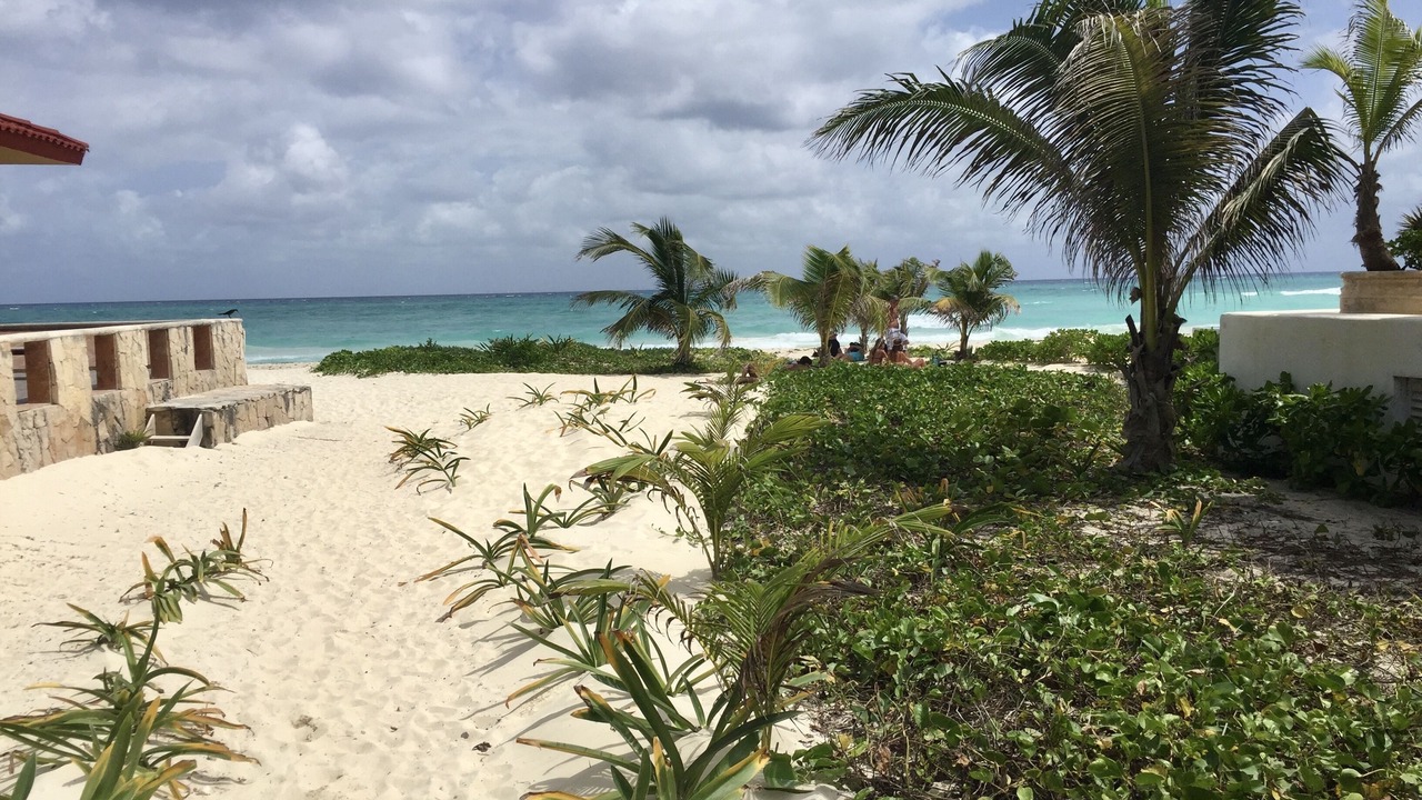 Photo of Others in Playacar Fase I