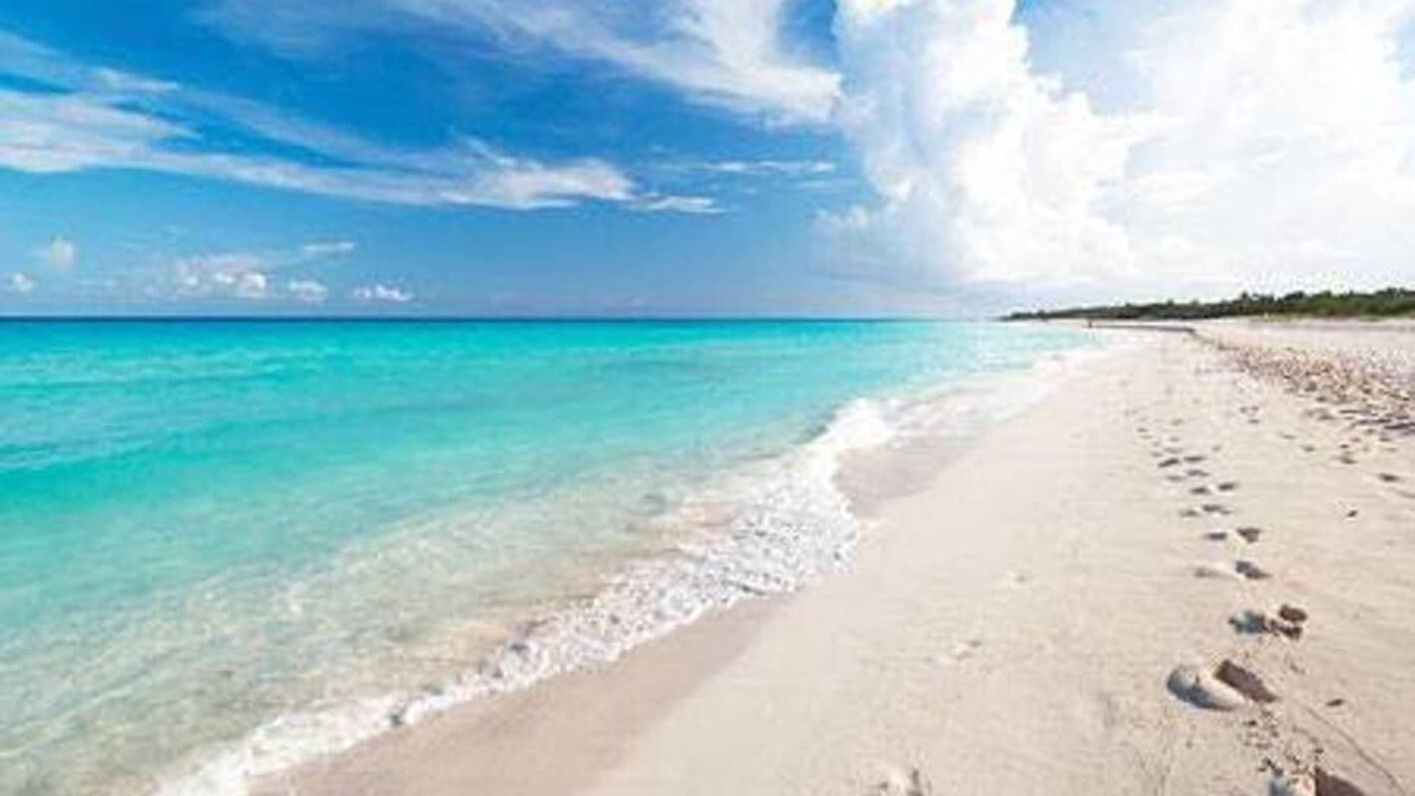 Photo of Others in Playa del Carmen