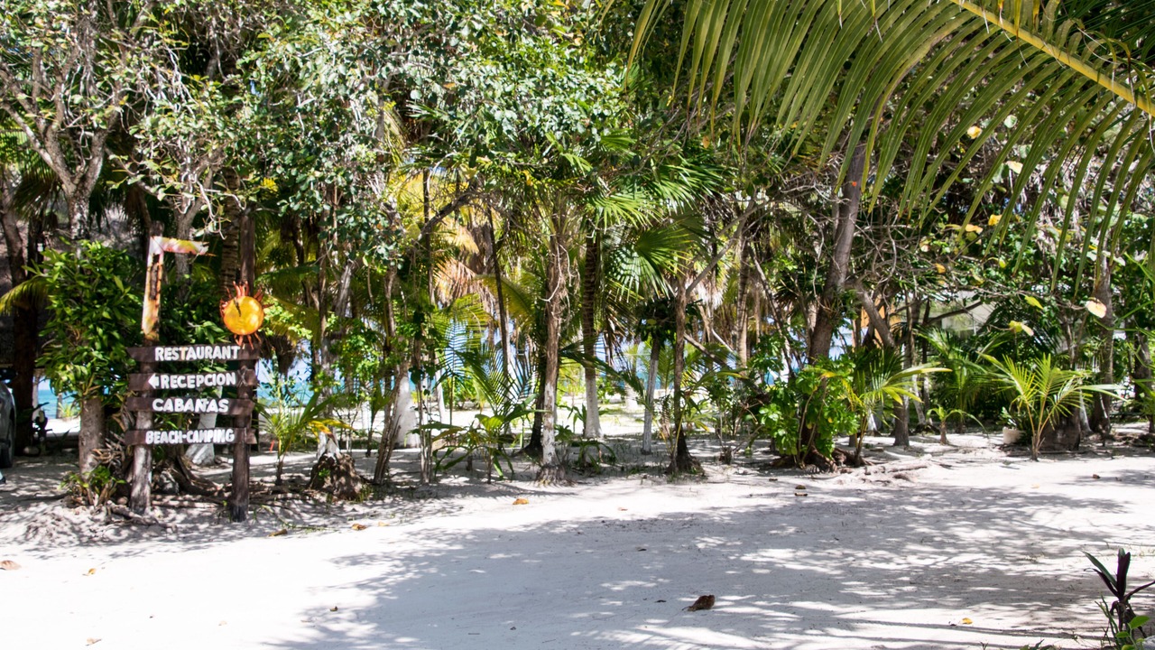 Photo of Outdoor in Punta Allen
