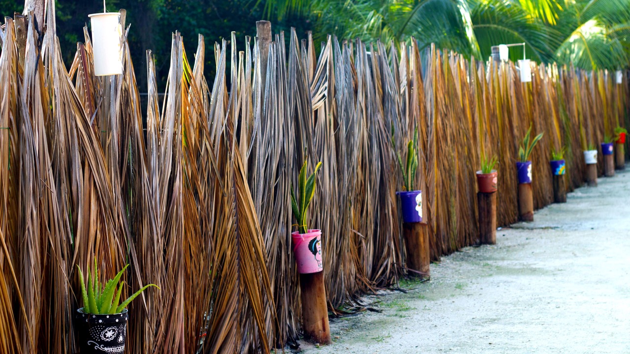 Photo of Outdoor in Isla Holbox