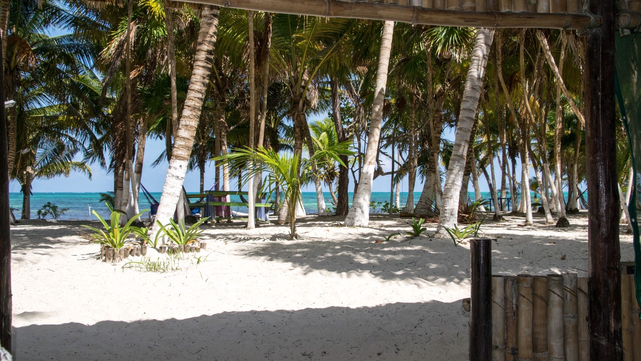 Photo of Others in Punta Allen