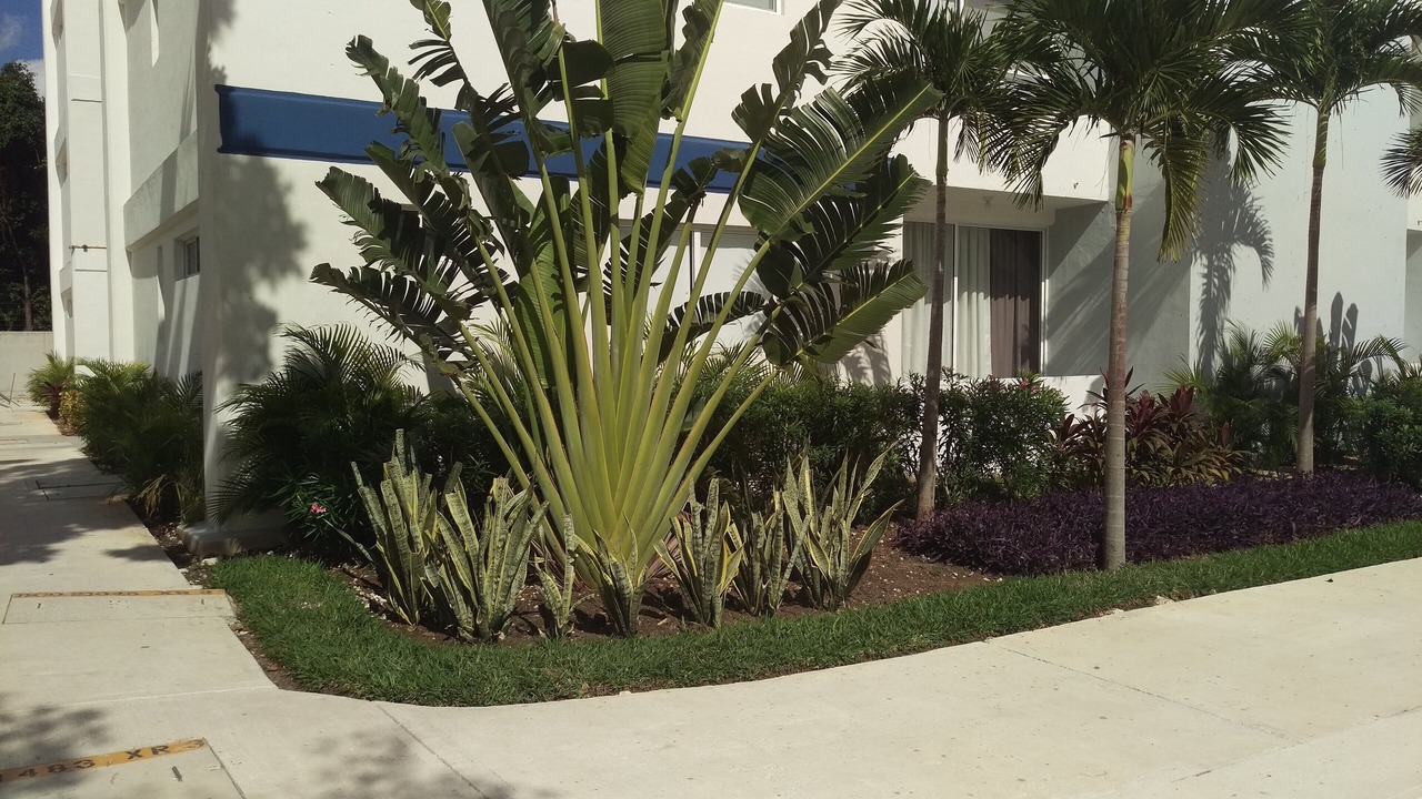 Photo of Outdoor in Jacinto Pat