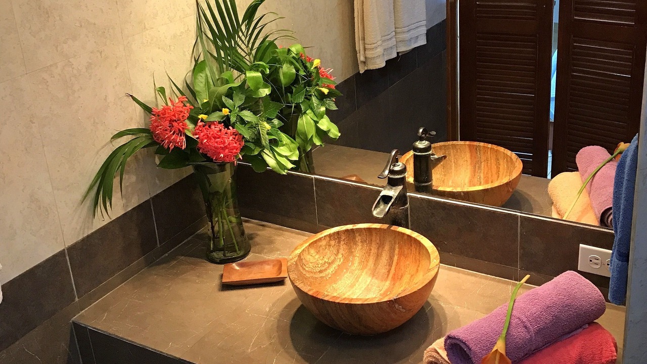 Photo of Bathroom in Colonia Adolfo Lopez Mateos