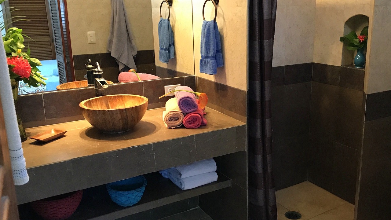 Photo of Bathroom in Colonia Adolfo Lopez Mateos