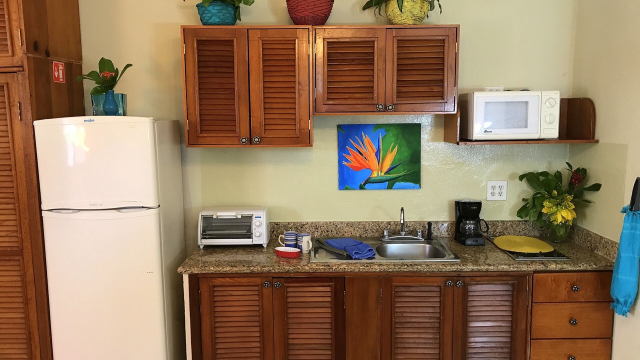Photo of Kitchen in Colonia Adolfo Lopez Mateos