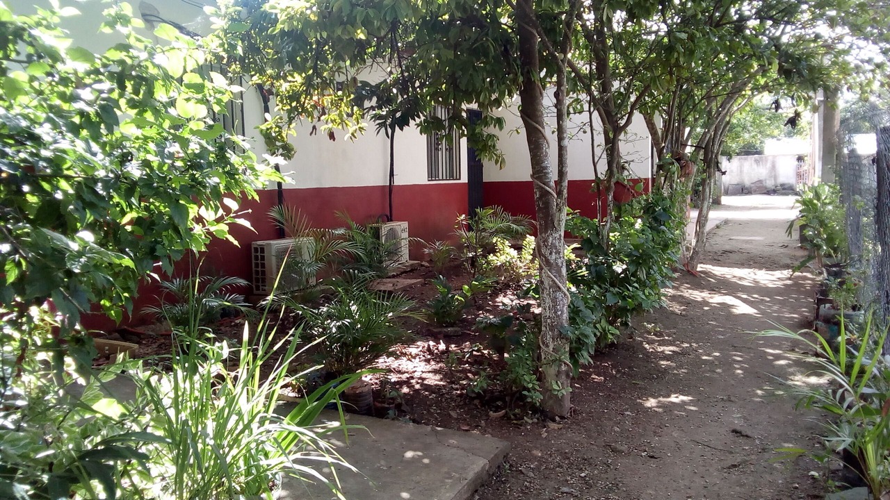 Photo of Outdoor in Bacalar
