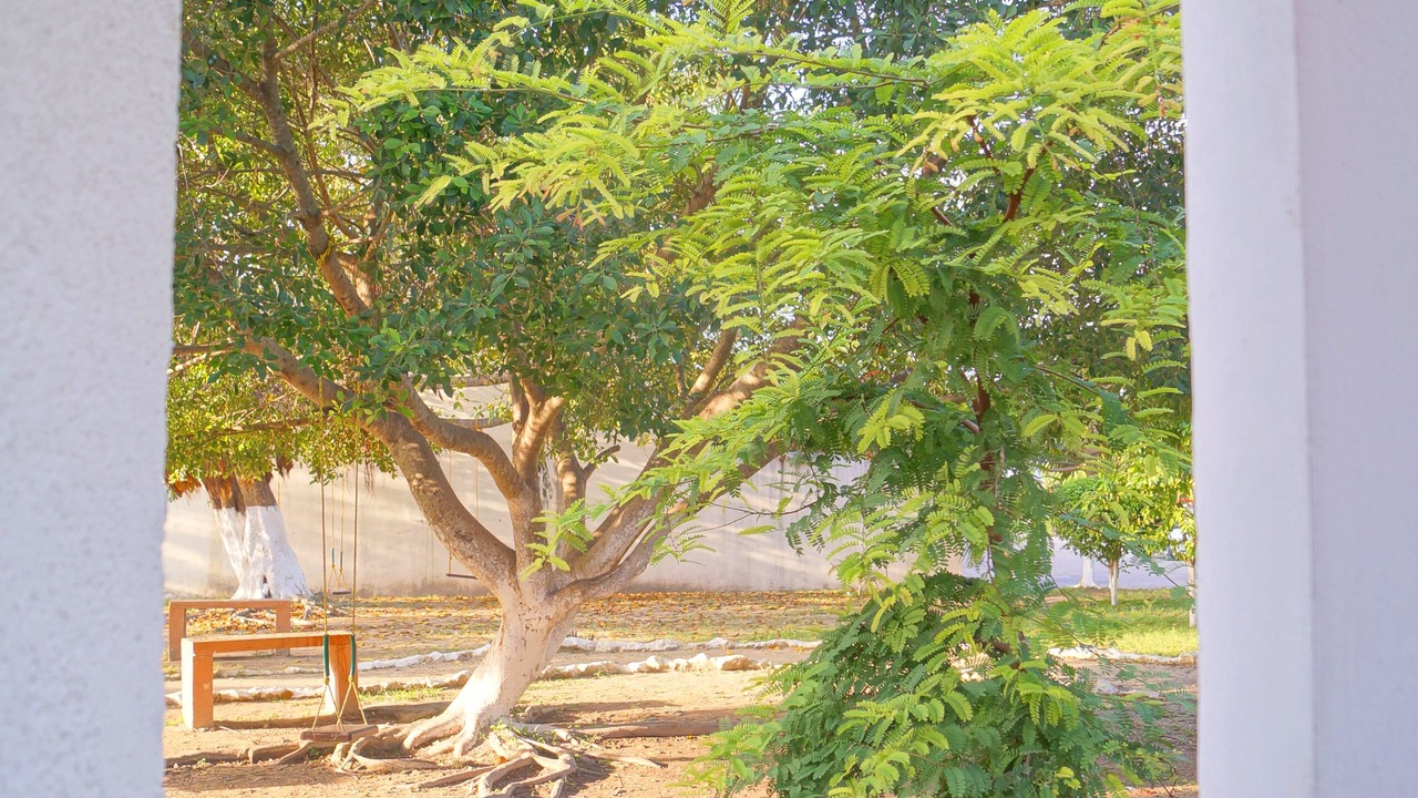 Photo of Outdoor in Villa Juarez