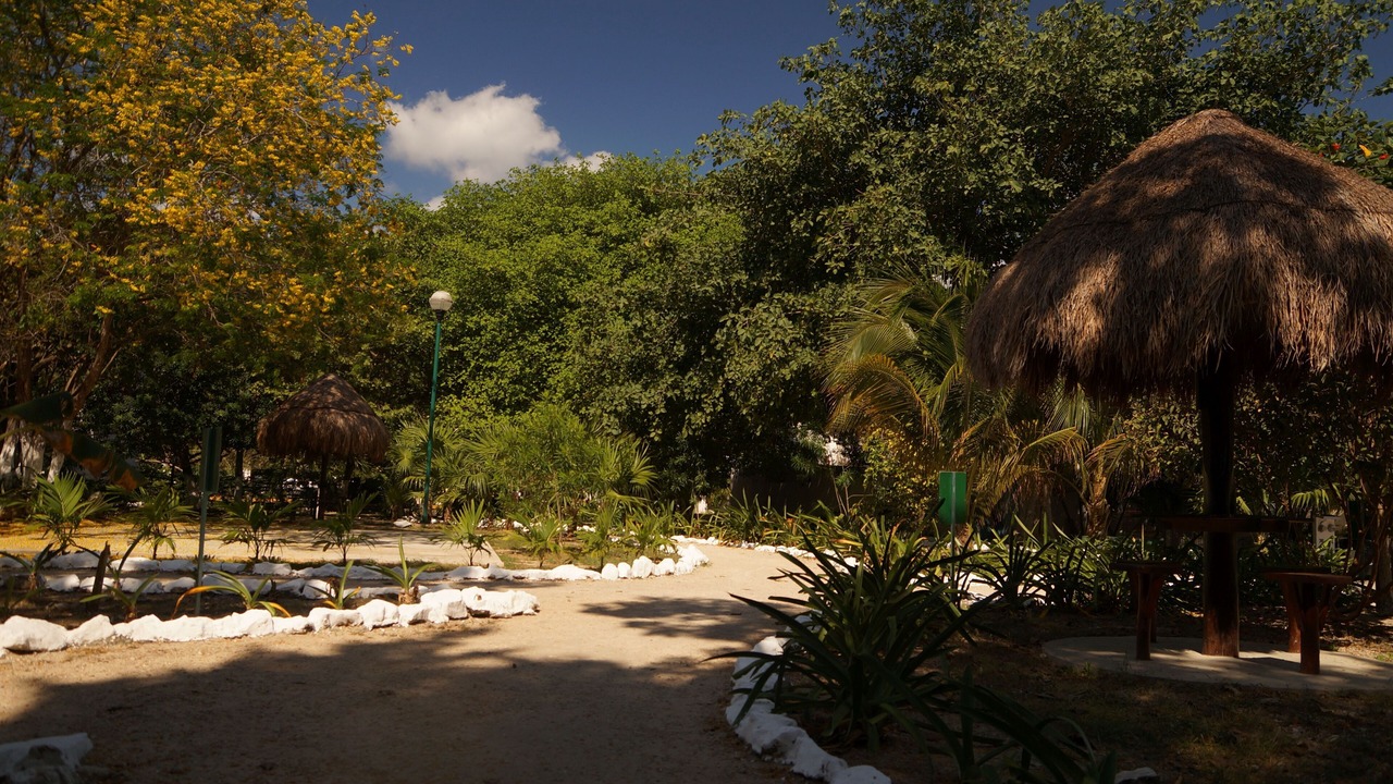 Photo of Outdoor in Villa Juarez