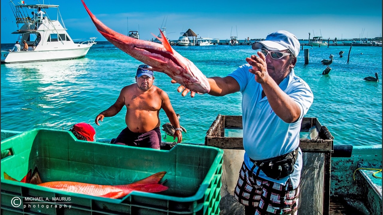 Photo of Others in Puerto Morelos
