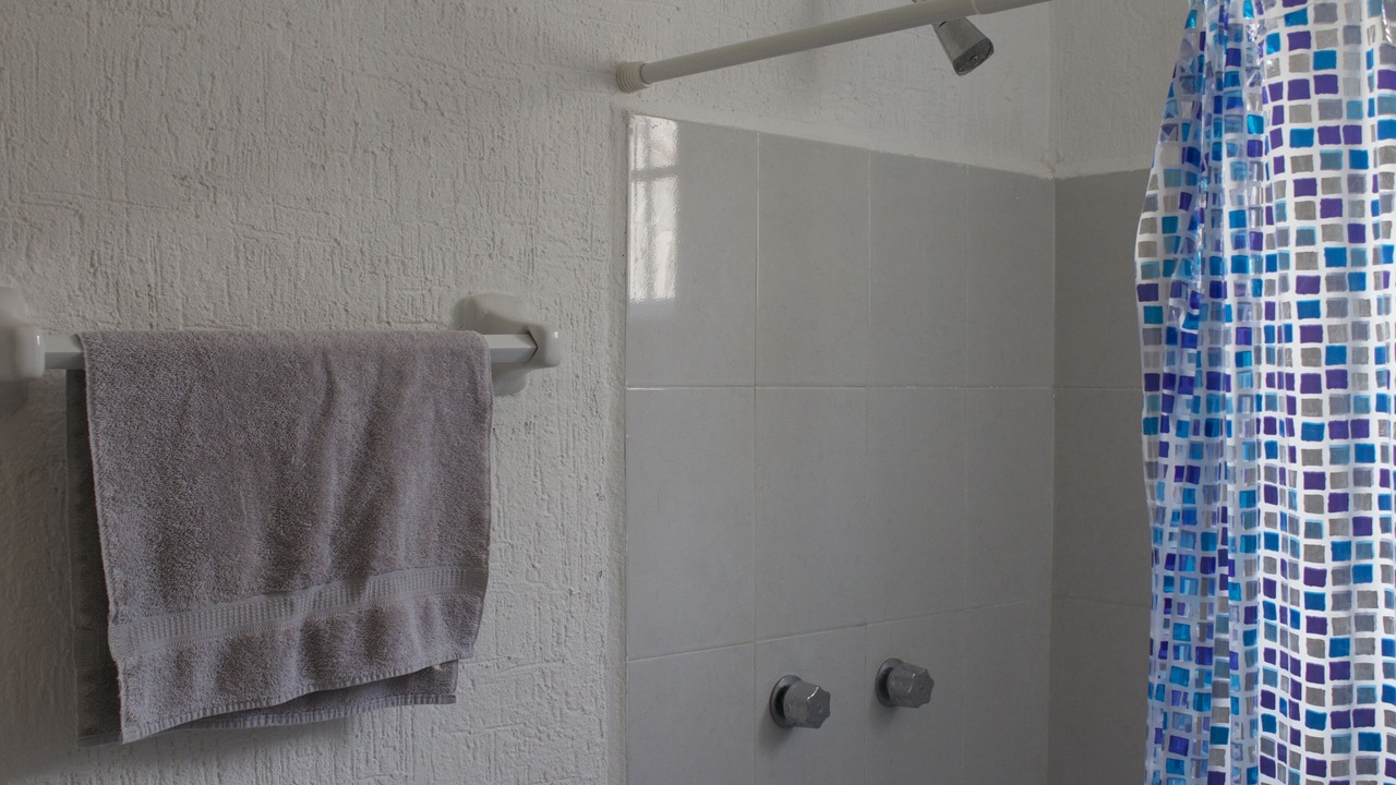 Photo of Bathroom in Leona Vicario