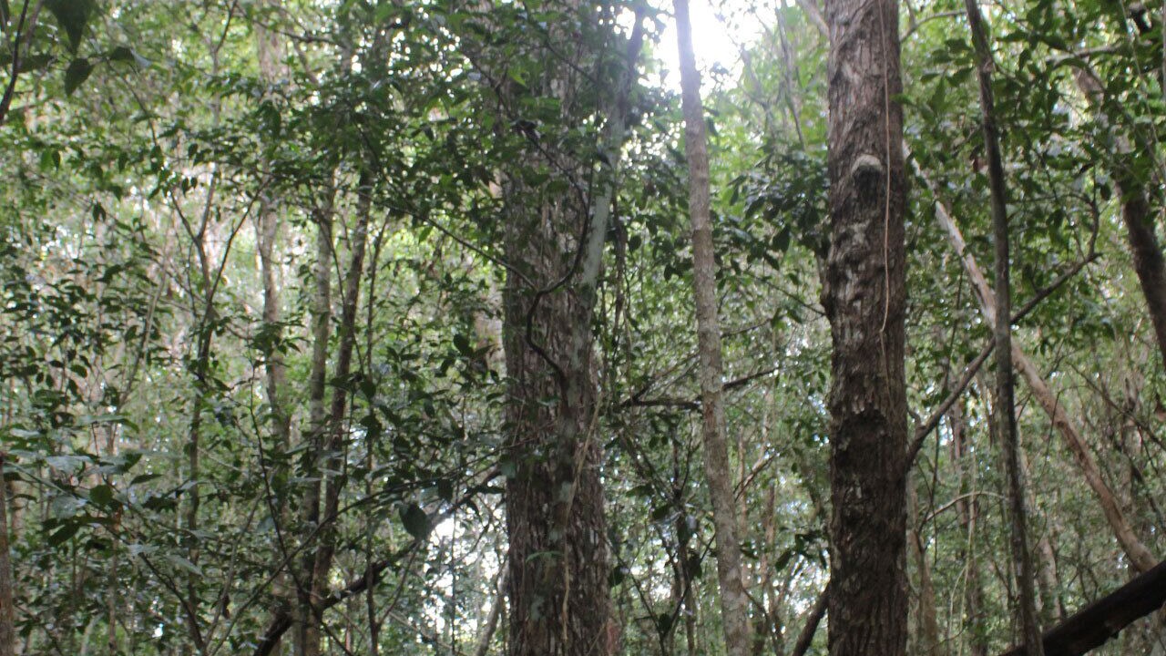 Photo of Outdoor in Tulum