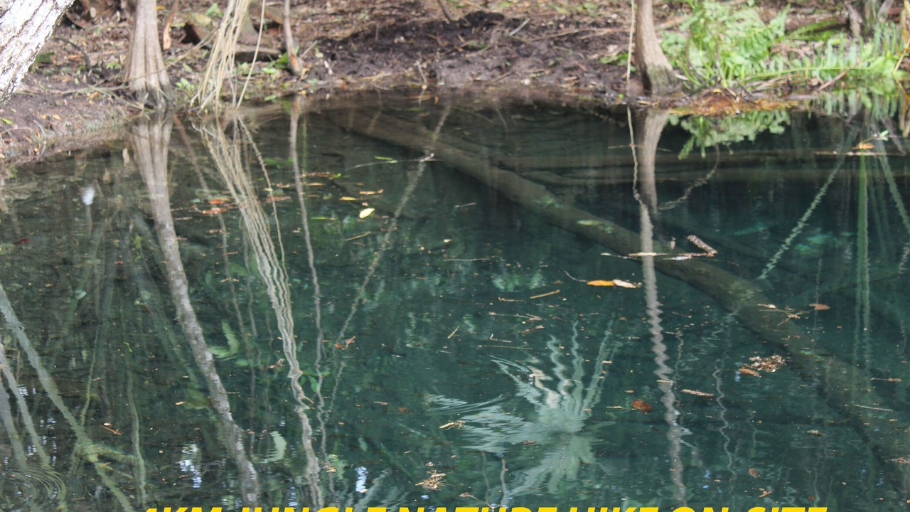 Photo of Others in Tulum