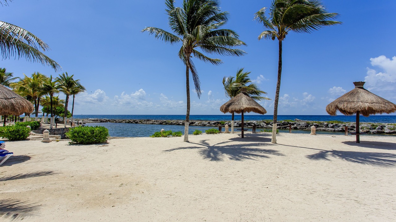 Photo of Others in Puerto Aventuras
