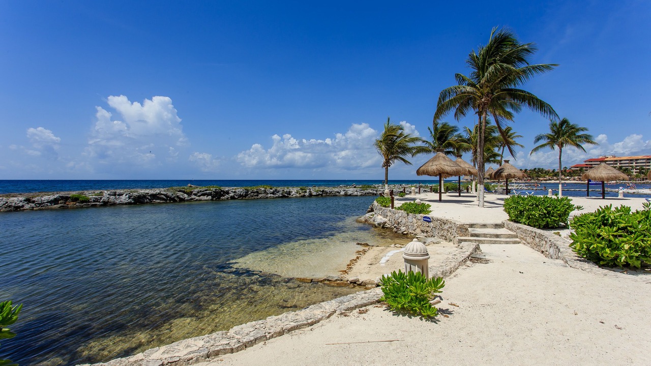 Photo of Others in Puerto Aventuras