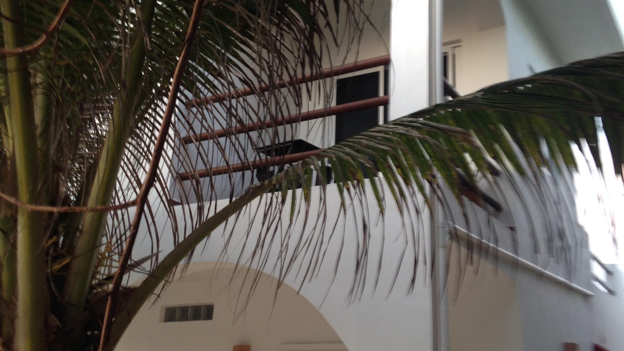 Photo of Patio Balcony in Colonia Salina Chica