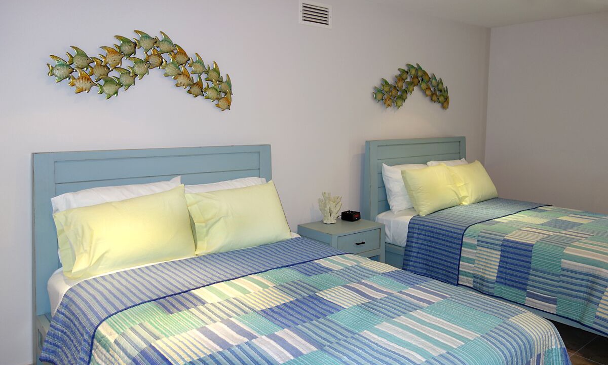 Photo of Others in Cozumel