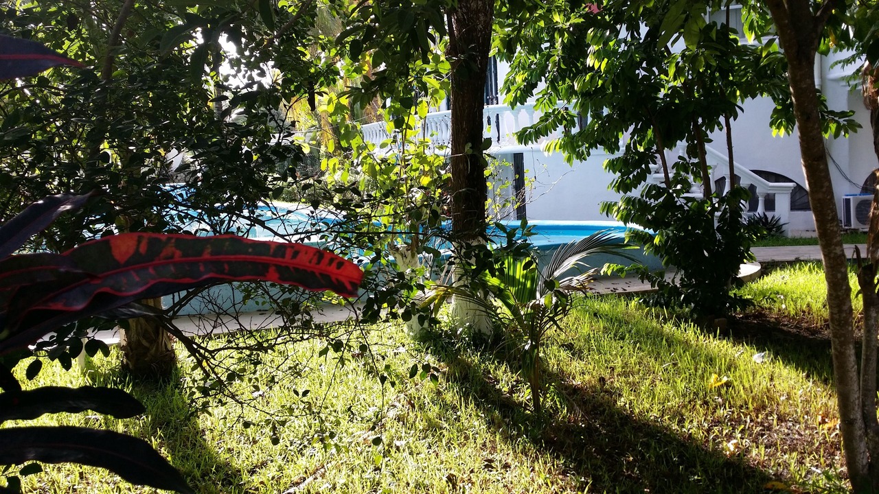 Photo of Outdoor in Alfredo V. Bonfil