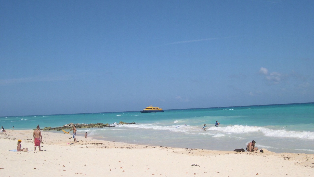 Photo of Others in Playacar Fase I