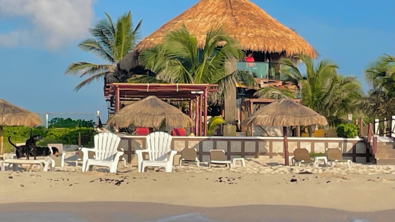 Photo of Others in Playa del Secreto