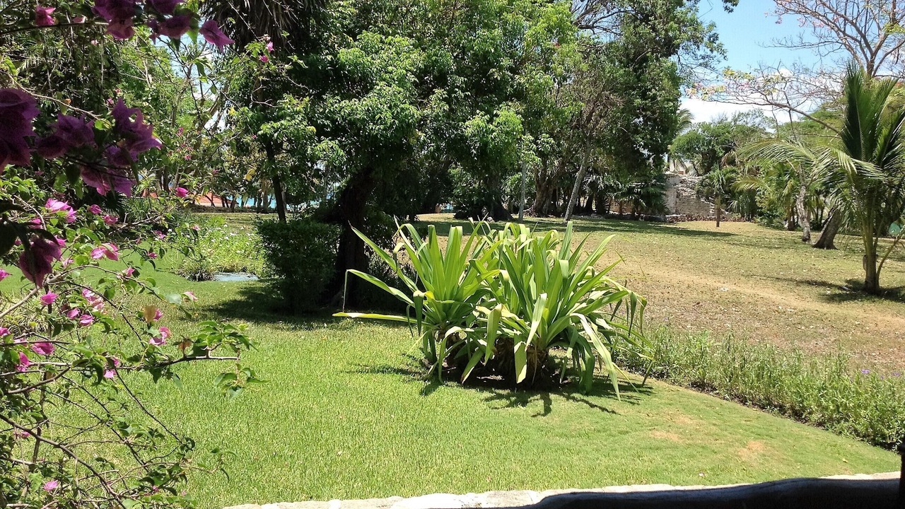 Photo of Others in Playacar Fase I