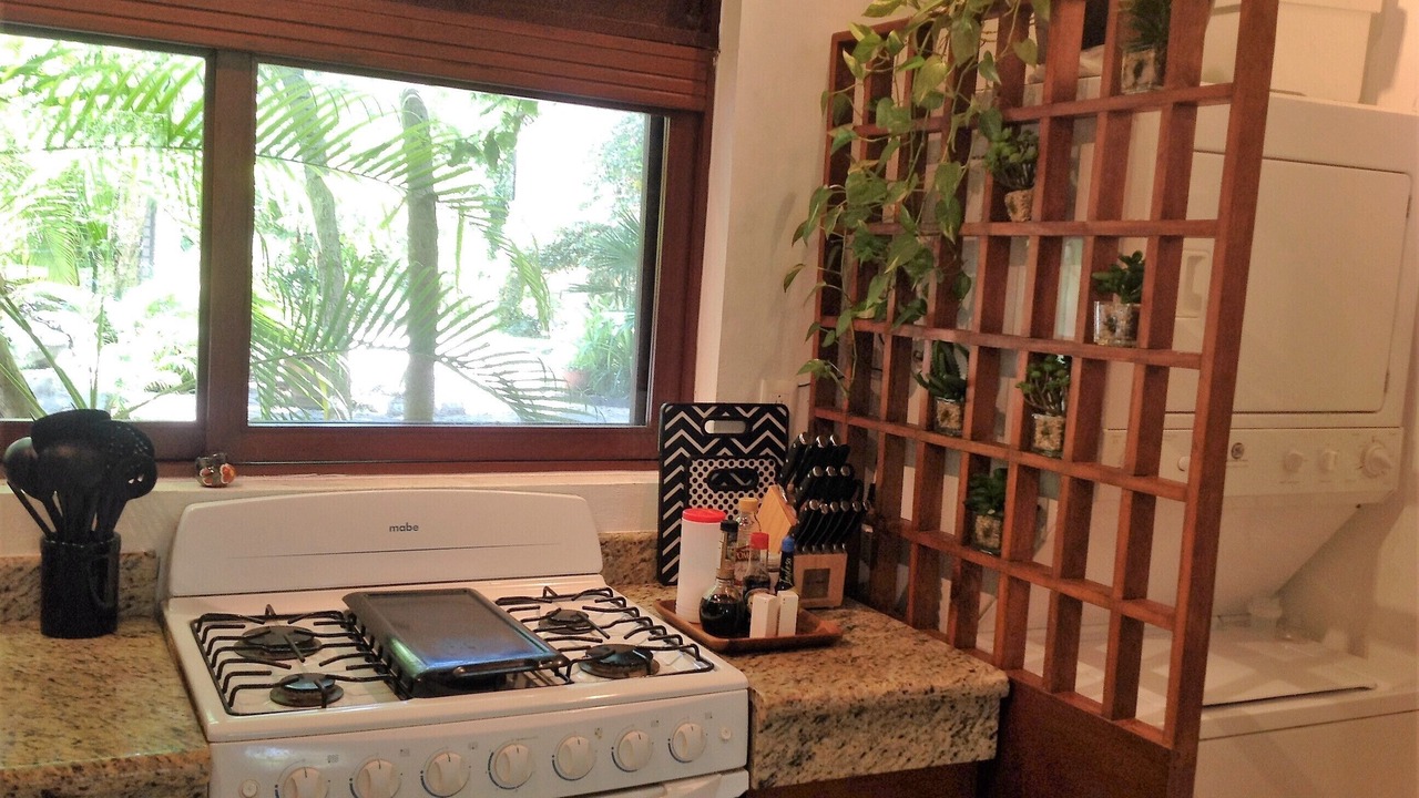 Photo of Kitchen in Playacar Fase I