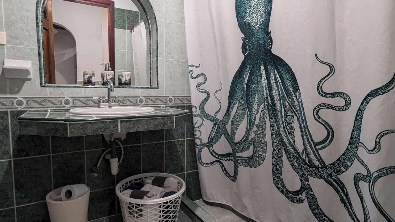 Photo of Bathroom in Colonia Andres