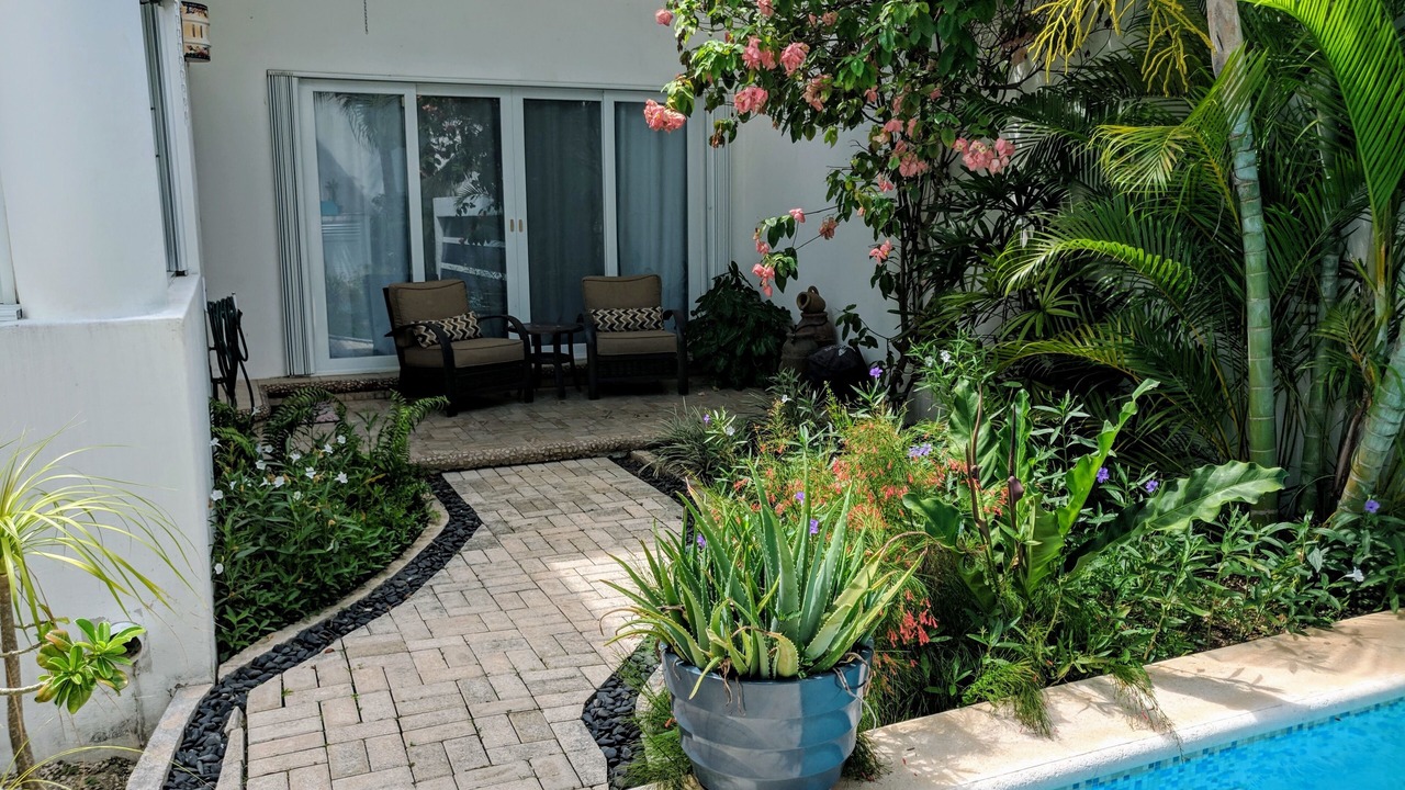Photo of Outdoor in Colonia Repobladores