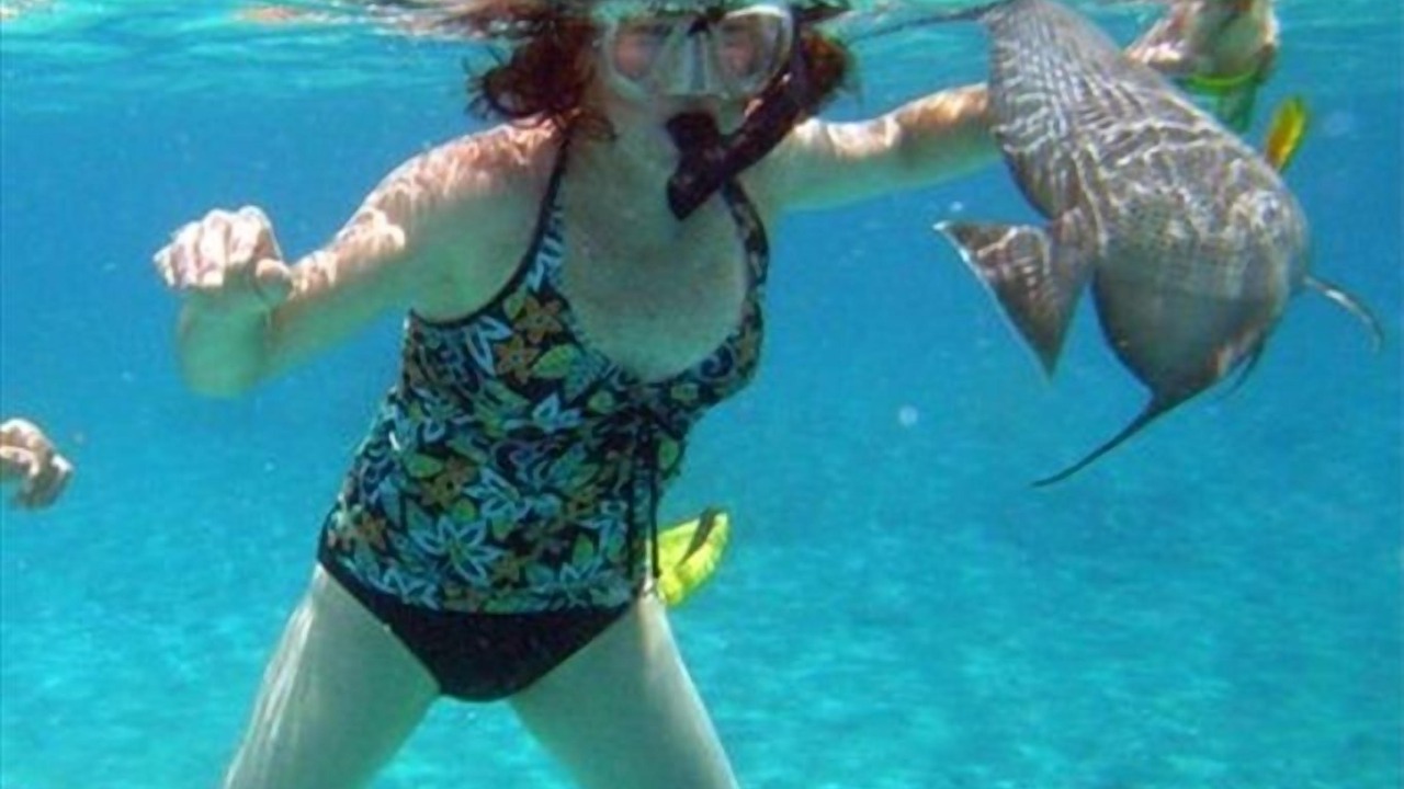 Photo of Others in Cozumel