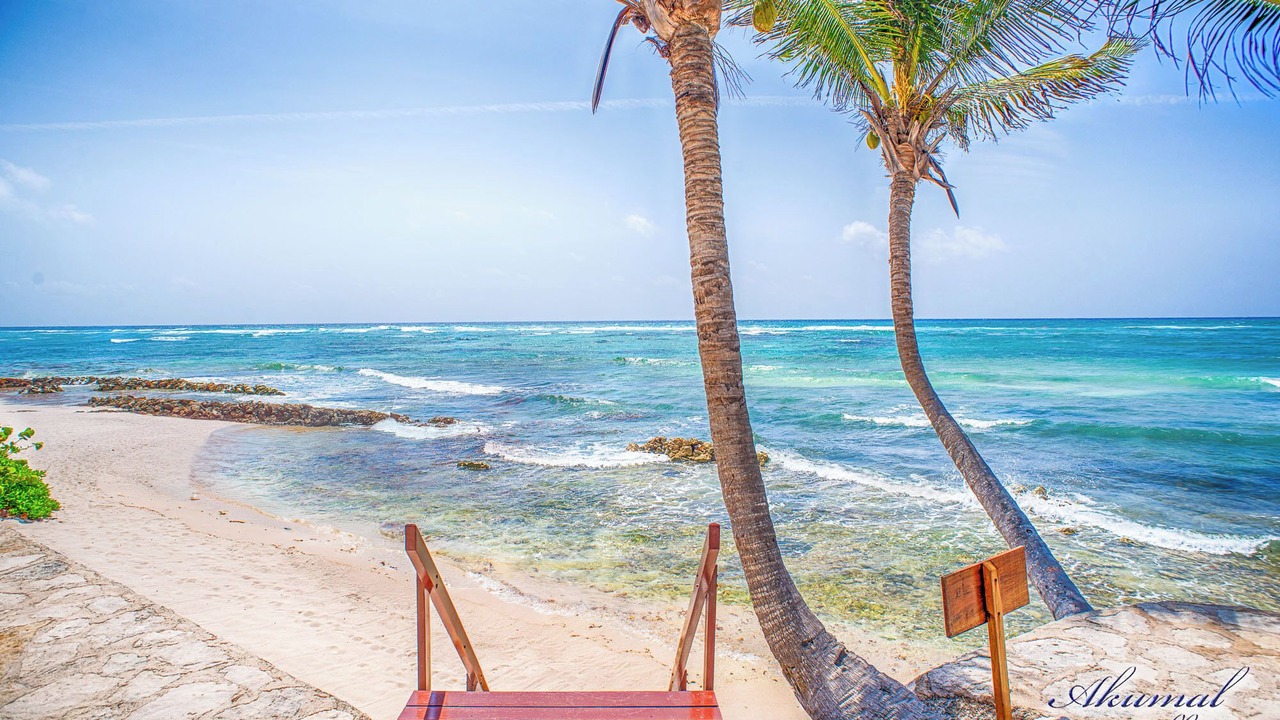 Photo of Others in Akumal
