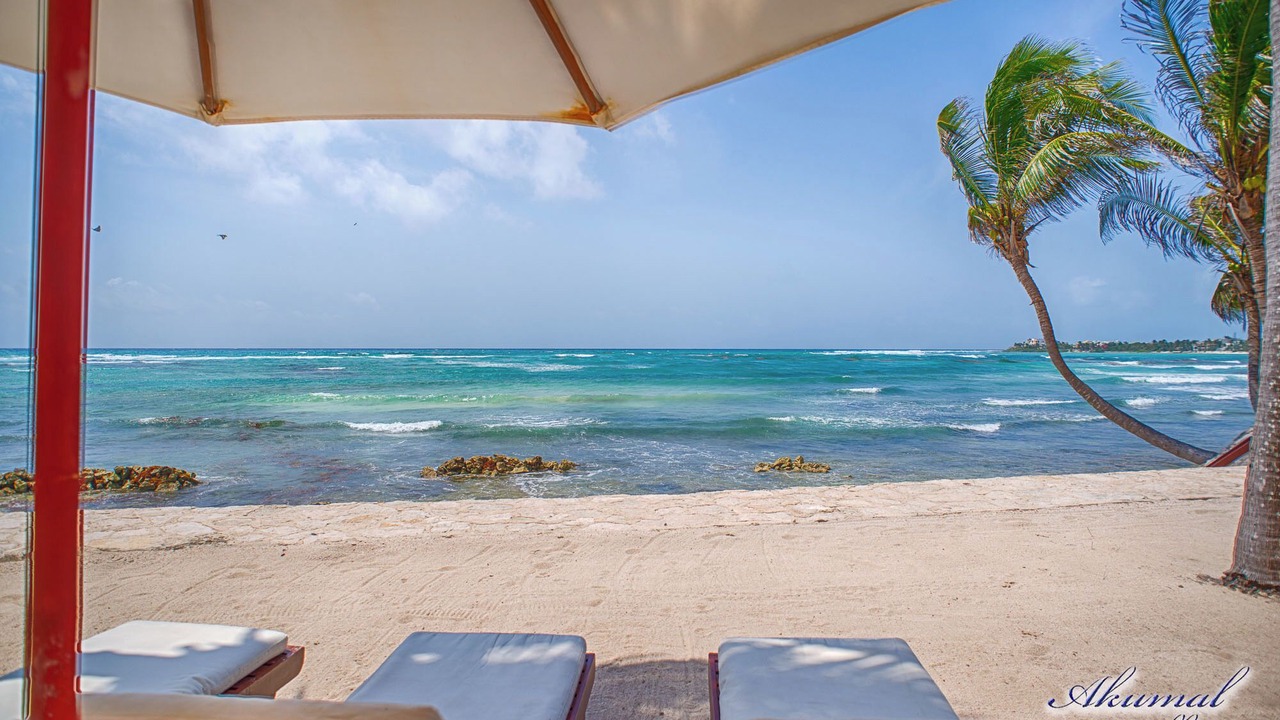 Photo of Others in Akumal