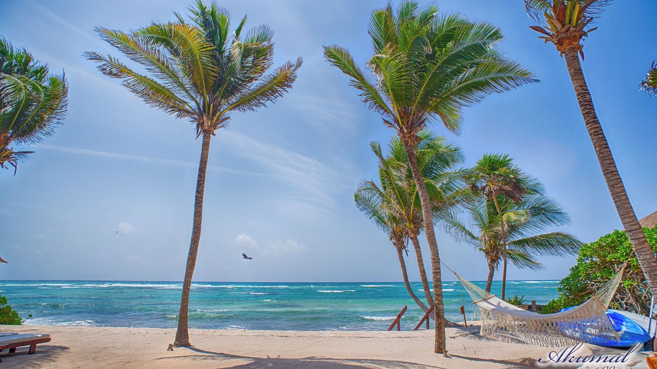 Photo of Others in Akumal