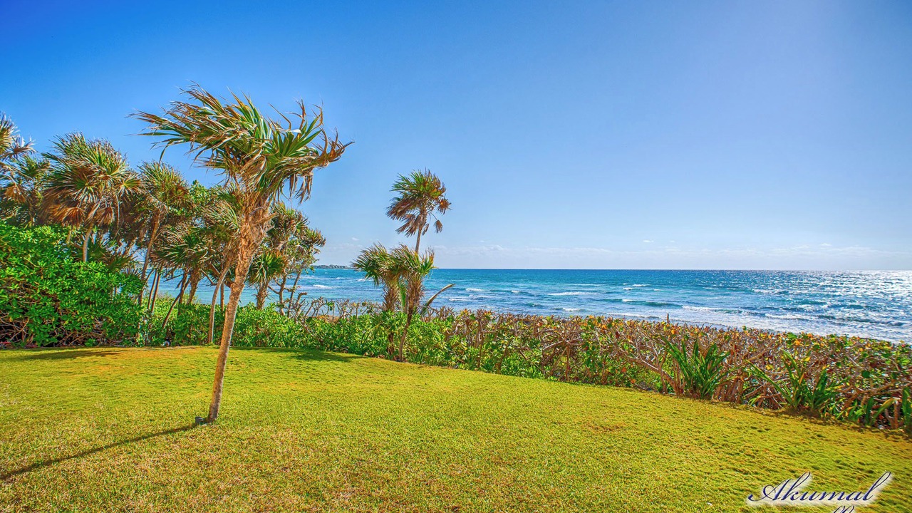 Photo of Outdoor in Akumal