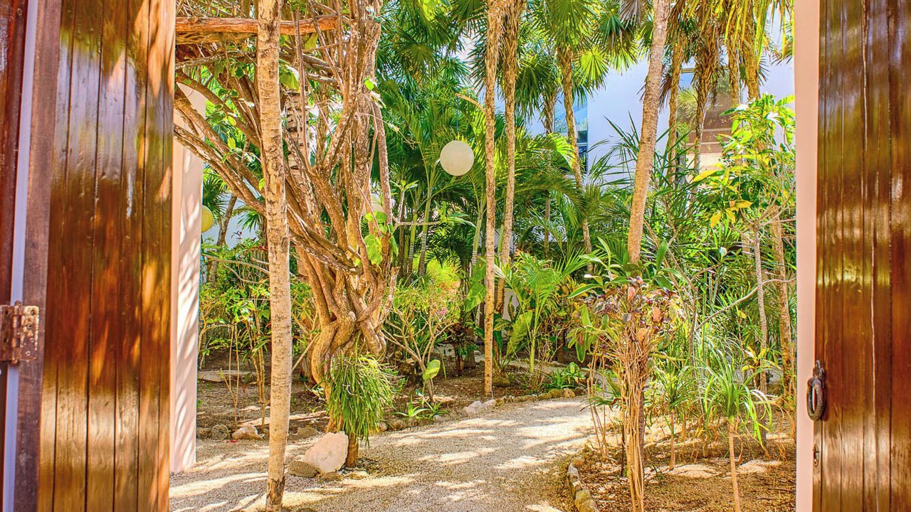 Photo of Outdoor in Akumal