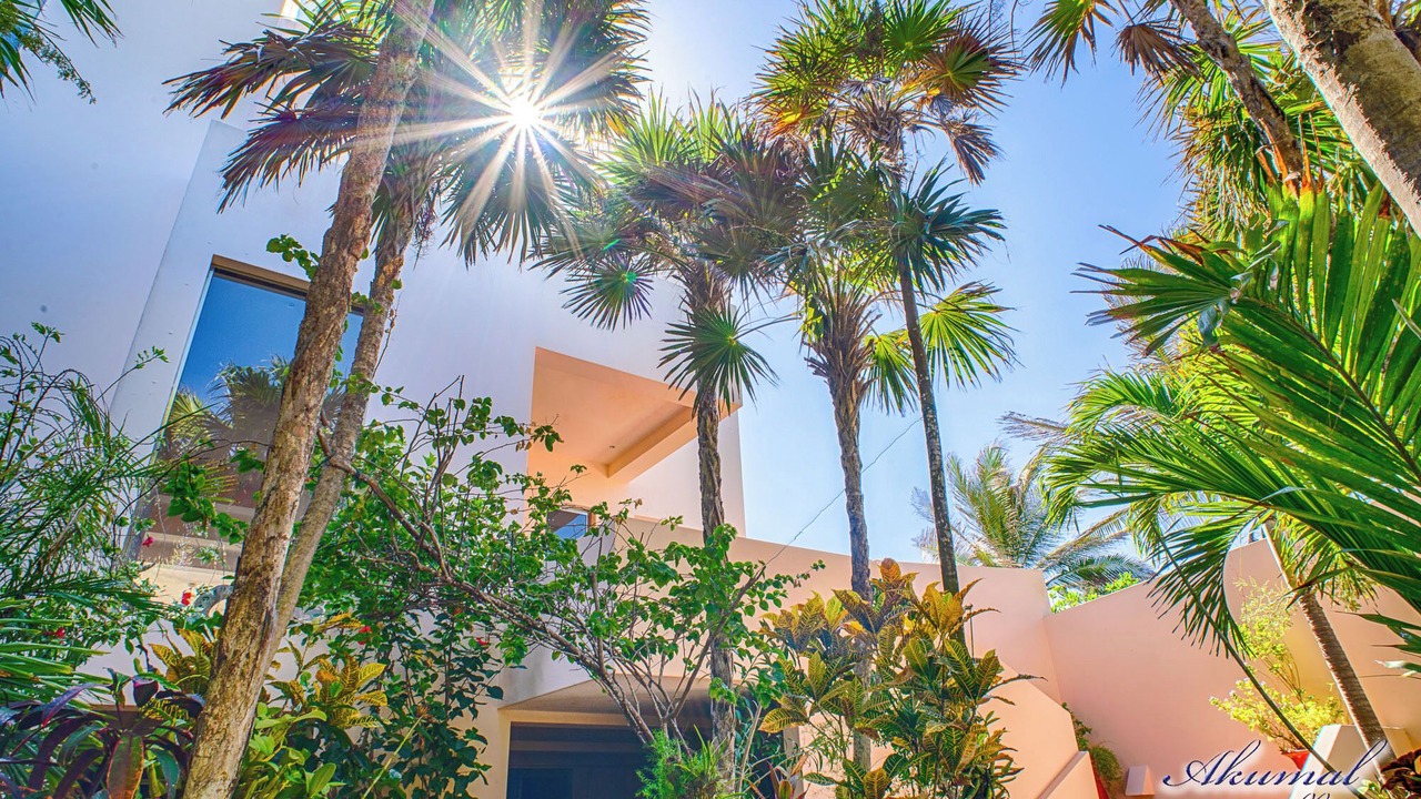 Photo of Outdoor in Akumal