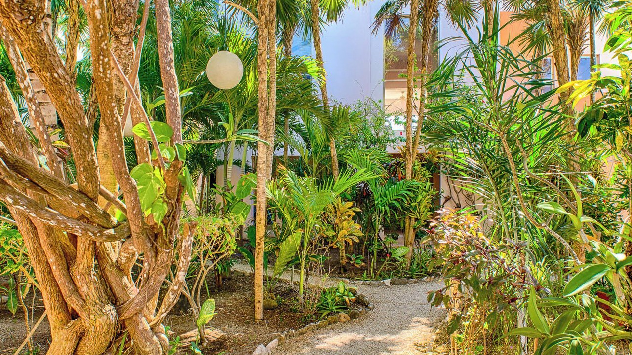 Photo of Outdoor in Akumal