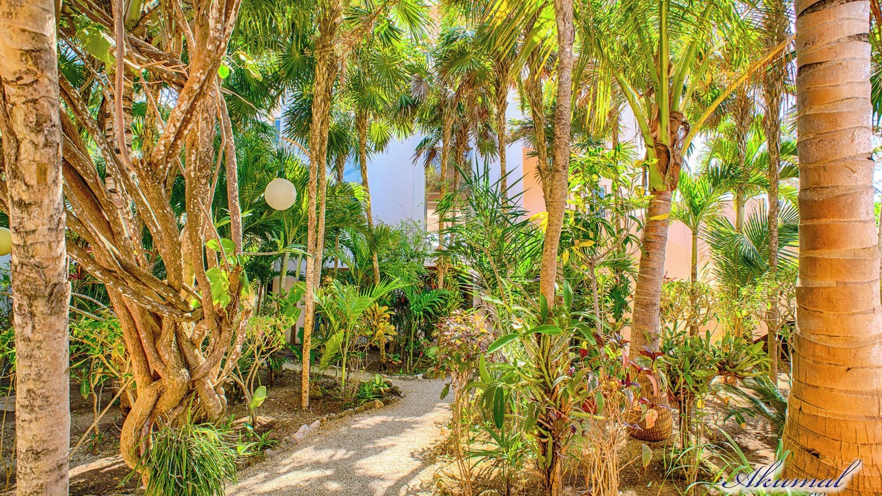 Photo of Outdoor in Akumal