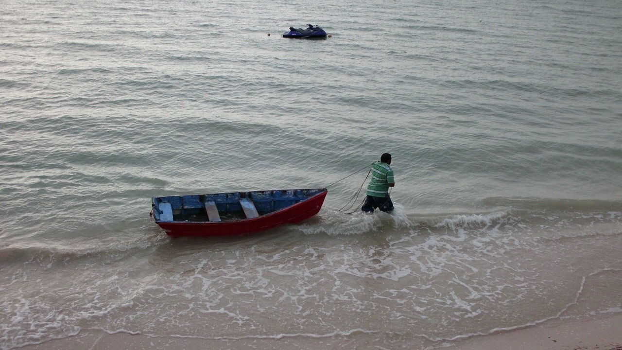 Photo of Others in Chelem