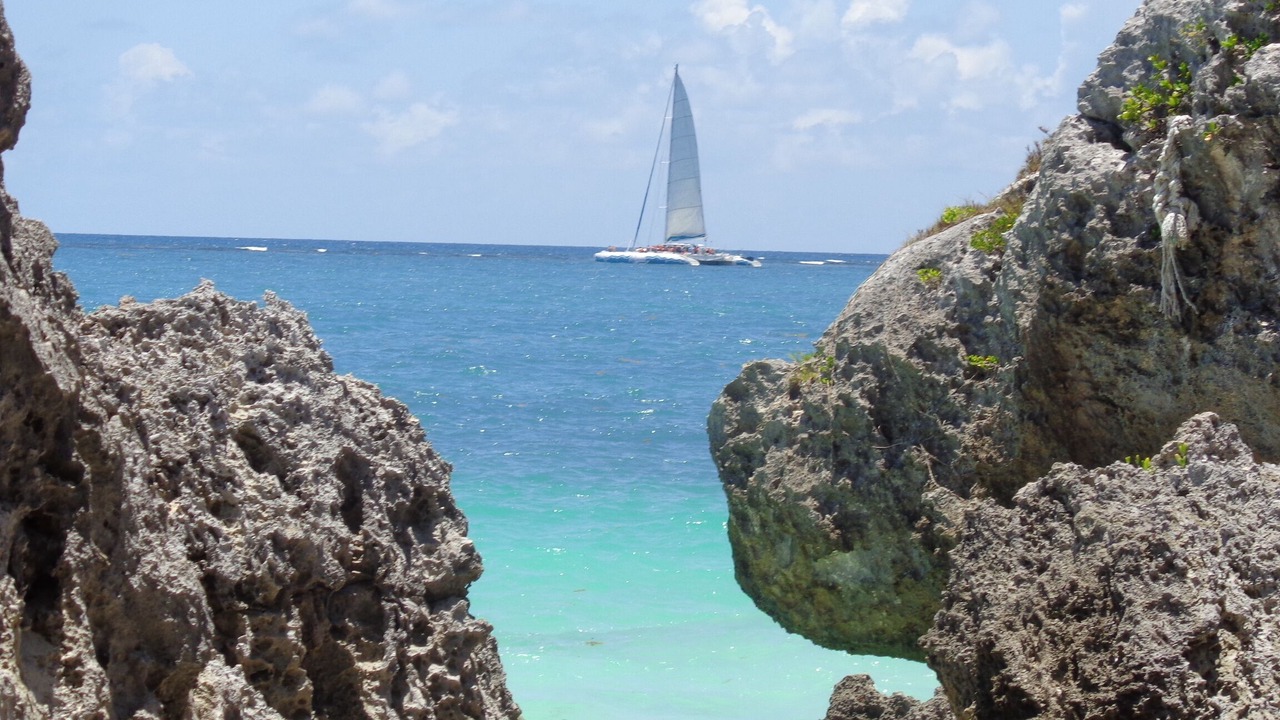 Photo of Others in Playacar