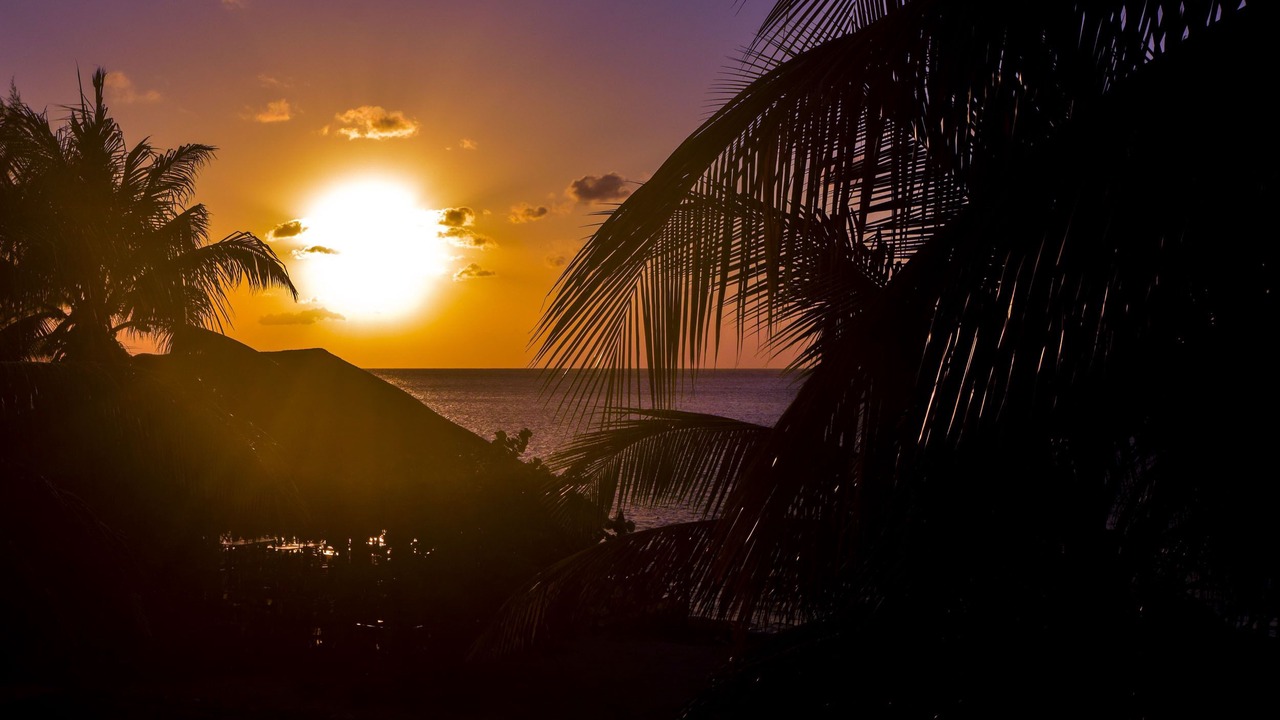 Photo of Others in Cozumel