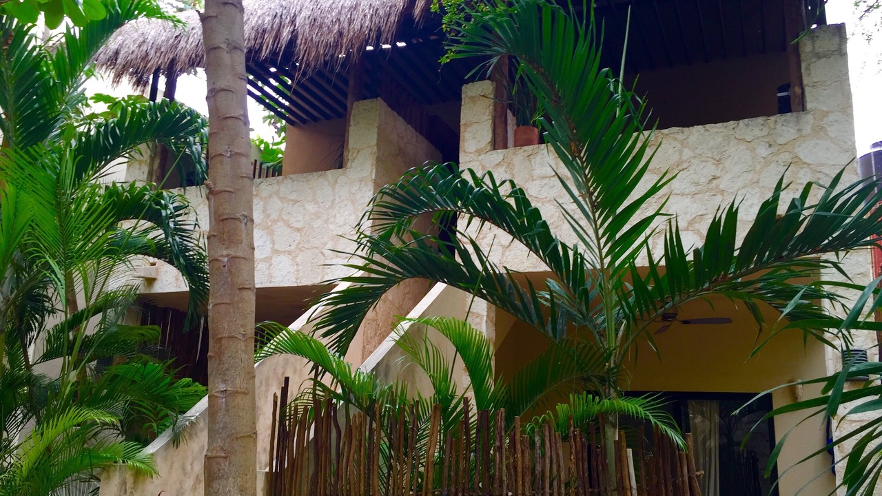 Photo of Outdoor in Tulum City Center