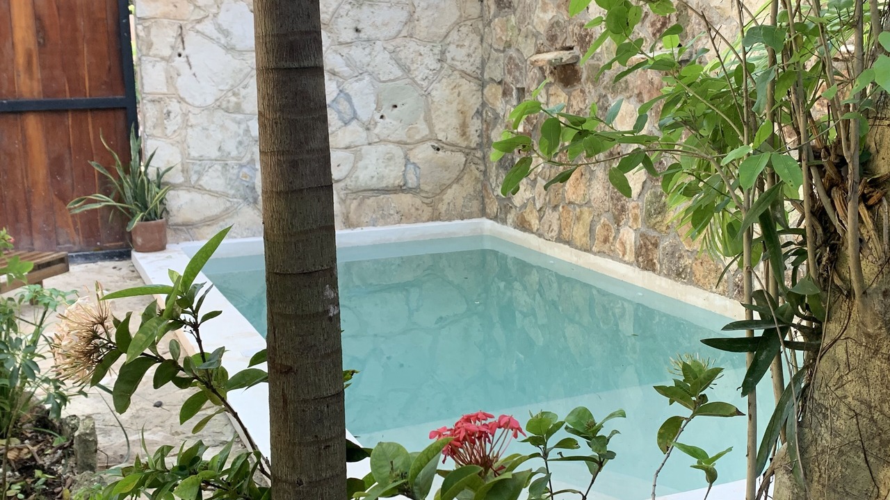 Photo of Outdoor in Tulum City Center