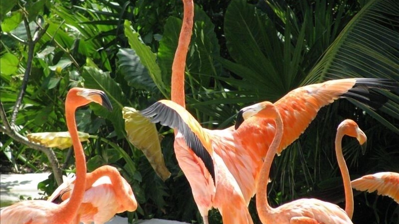 Photo of Others in Villa Juarez