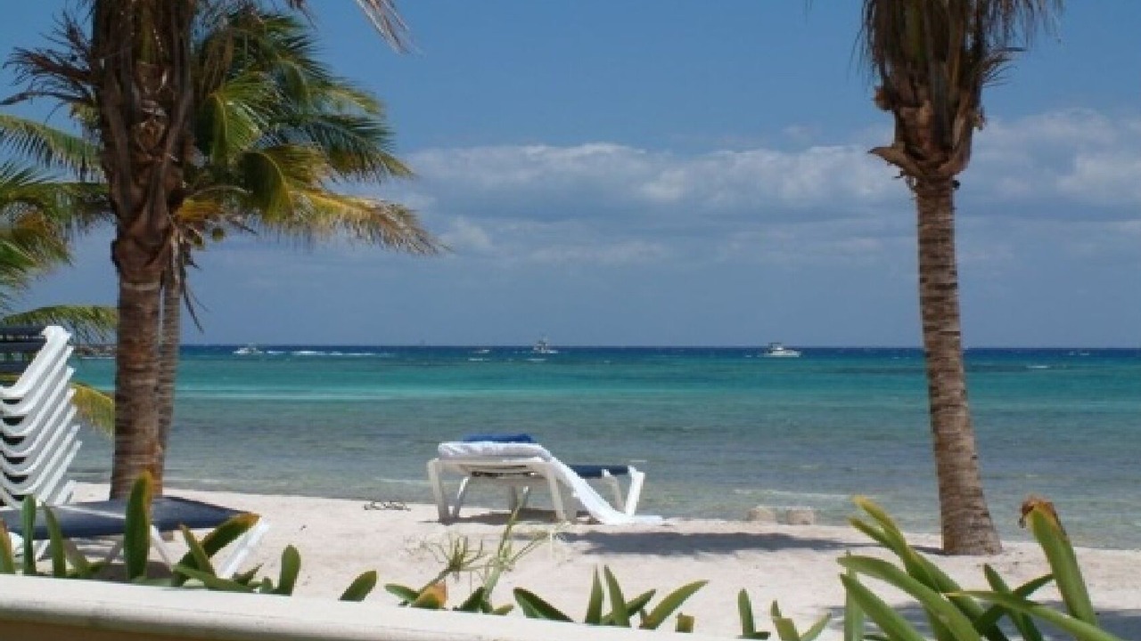 Photo of Others in Puerto Aventuras