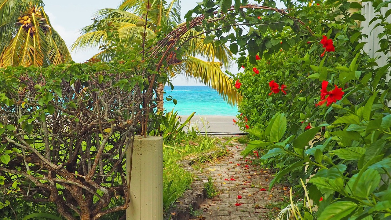 Photo of Outdoor in Cozumel
