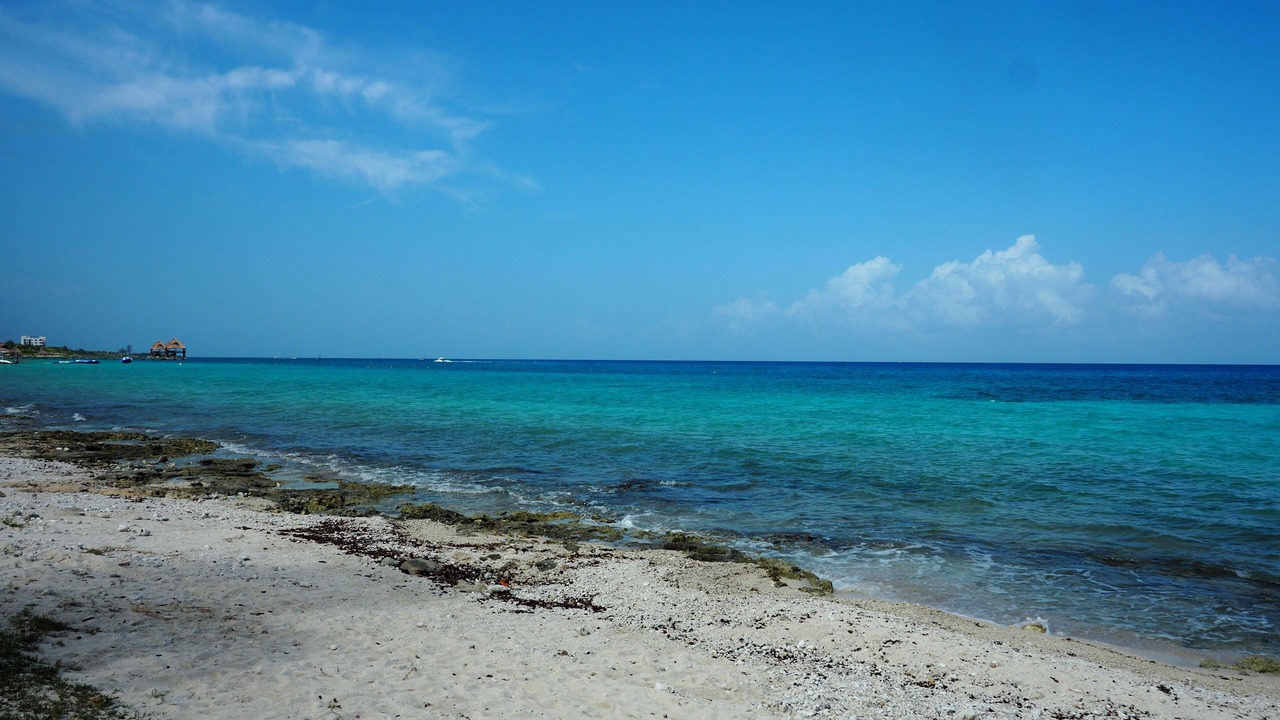 Photo of Others in Cozumel