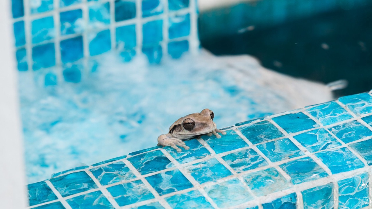 Photo of Outdoor in Cozumel