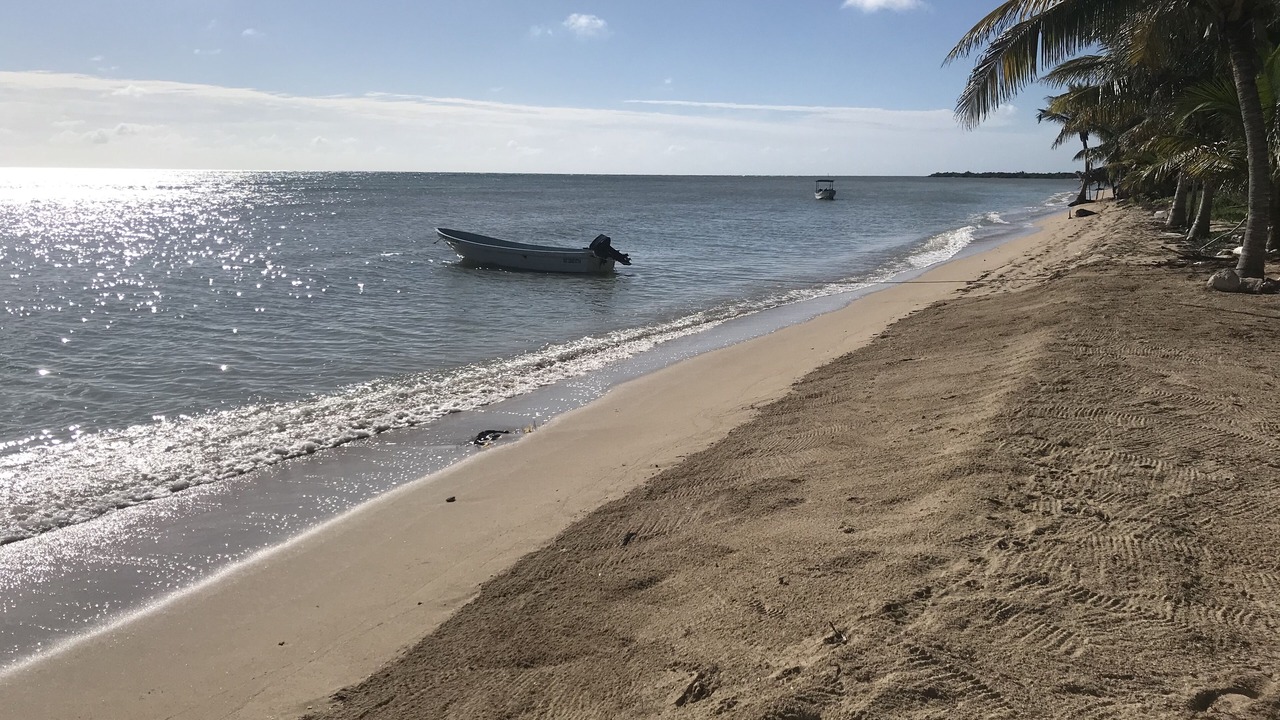Photo of Others in Puerto Bravo