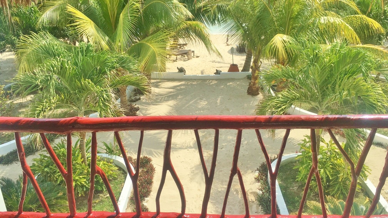 Photo of Others in Puerto Bravo