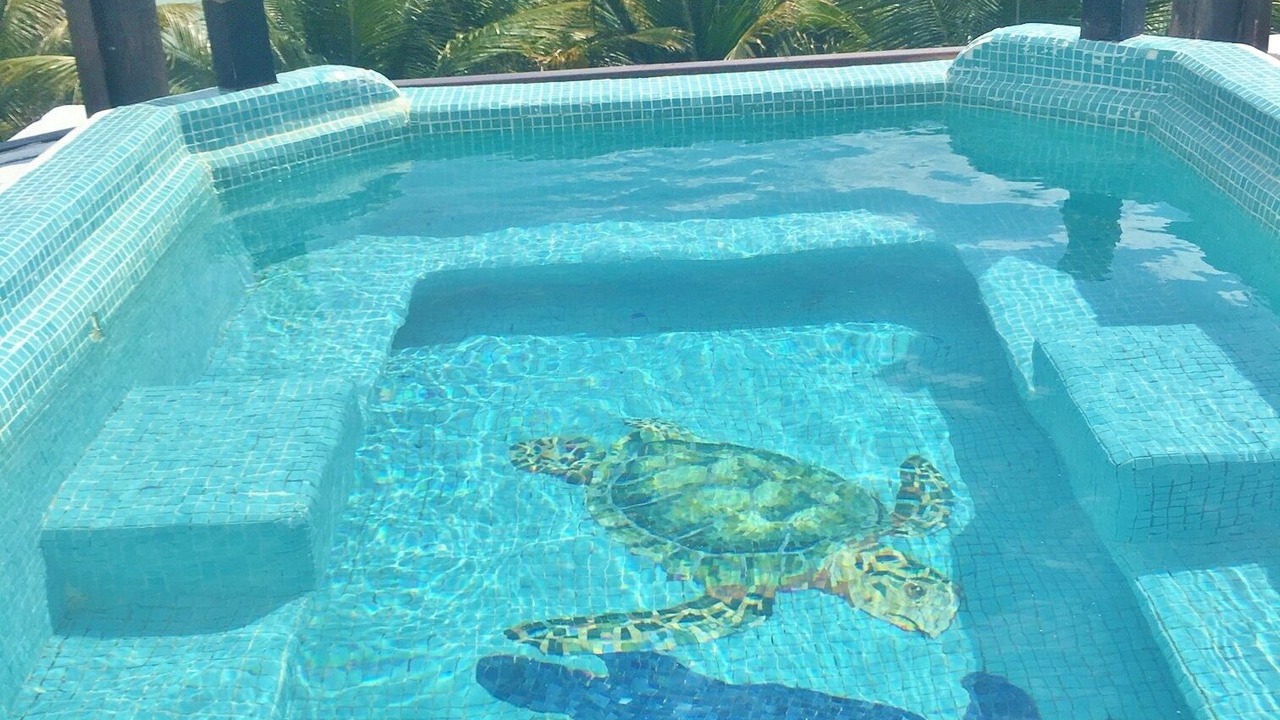 Photo of Outdoor in Puerto Bravo