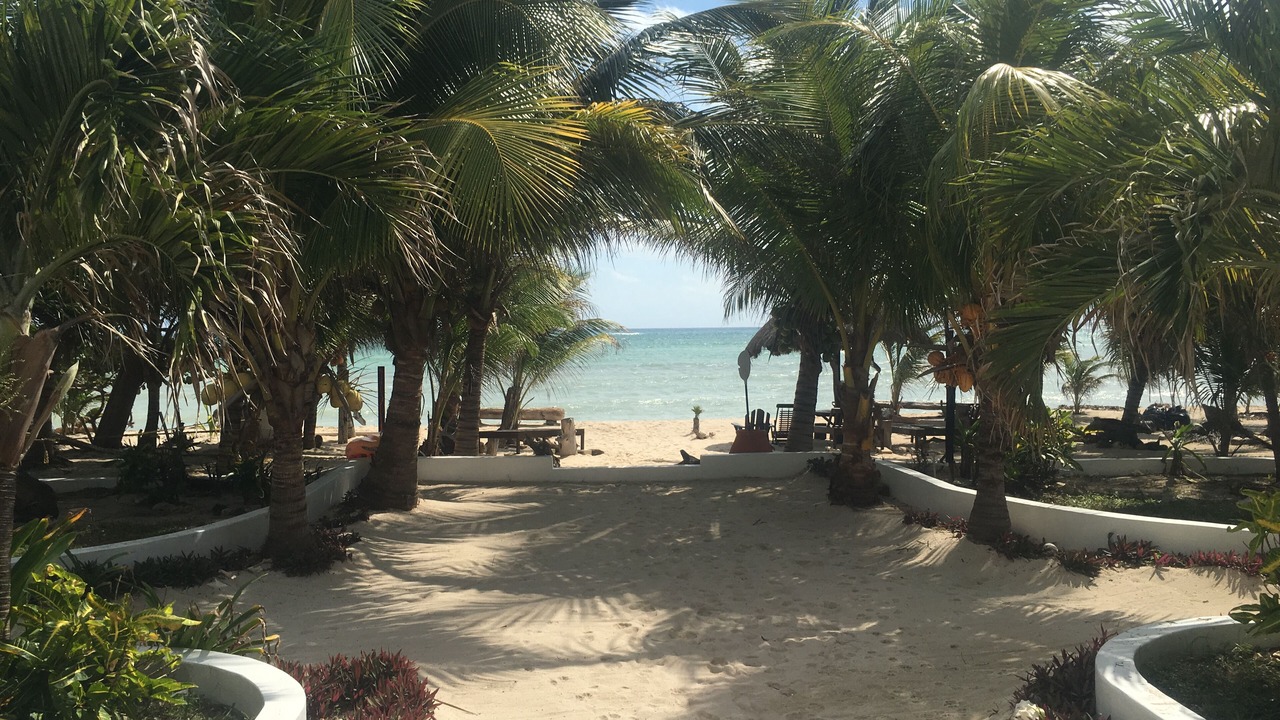 Photo of Others in Puerto Bravo